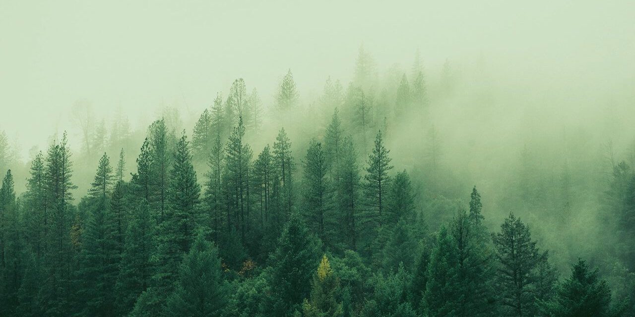 The best thing about nature is, its not on the internet