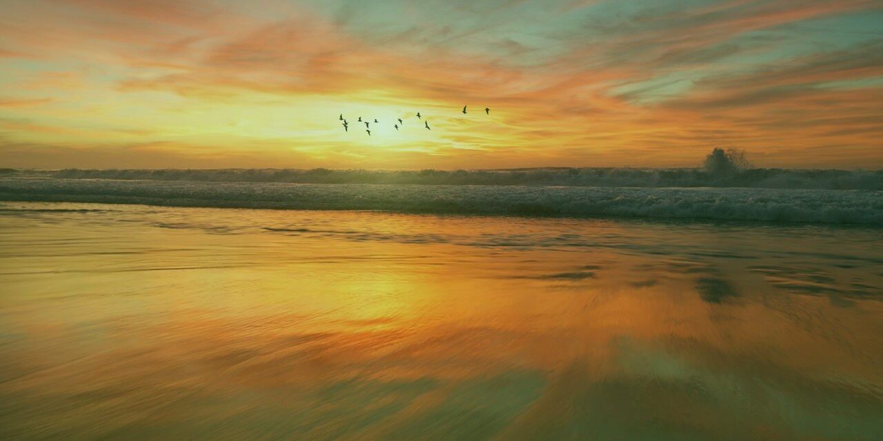 Autumn, the year’s last loveliest smile